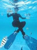 snorkel_er_1.jpg (4593 bytes)